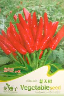 C025 Red Spicy Chili Pepper Capsicum Herbs Seed Pack  