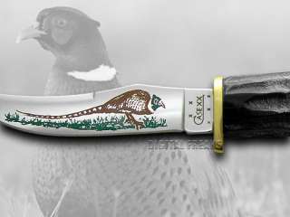 CASE XX Buffalo Horn Bird Knife Gift Tin Pocket Knives  