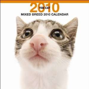  Mixed Breed Cats 2010 Wall Calendar