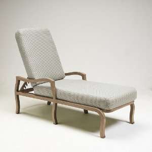  Carson Adjustable Chaise Lounge with Cushions Finish 