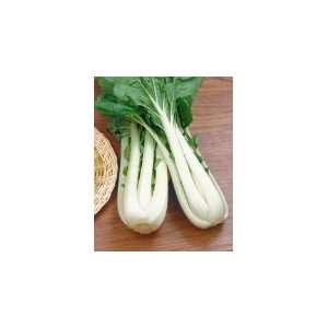  Chinese Pak Choy White Stem Cabbage Seed   By The Pound 