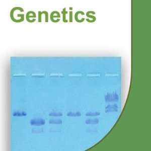 Corn Monohybrid Genetics BioKit(r)  Industrial 