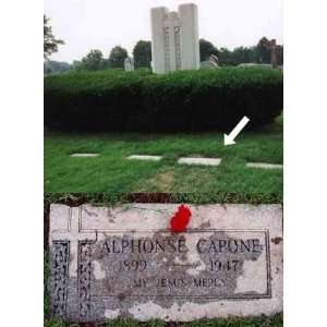 Al Capone Internment Site 8 1/2 X 11 Color Novelty Photograph