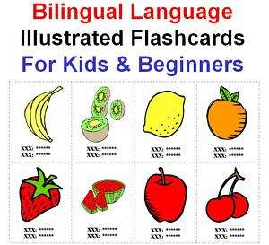 500 Bilingual English French Flashcards Kids & Beginner  