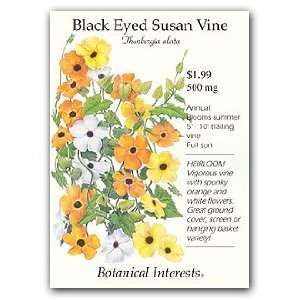  Black eyed Susan Vine Seed Patio, Lawn & Garden