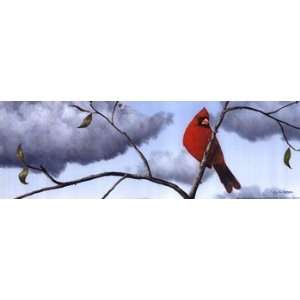    Spring Cardinal   Poster by Tim Gagnon (18x6)