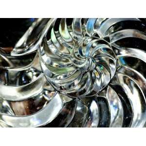  Close Up of Glass Chambered Nautilus Shell, Groton 
