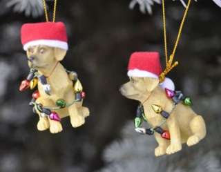 ganz christmas xmas tree ornament golden lab with lights will receive