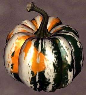 Carnival Gourd 12 Seeds   Delicious and Beautiful  