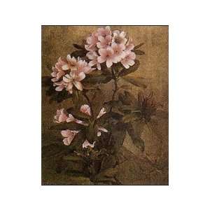  Rhododendron Dumont Flowers    Print