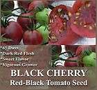 tomato seeds bst heirloom rare sweet black cherry 