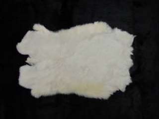 WHITE RABBIT SKIN Fur Pelt Hide Craft Real Genuine  