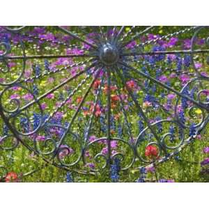  Wheel Gate and Fence with Blue Bonnets, Indian Paint Brush 