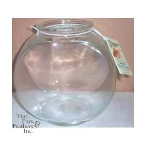  Imagine Drum Glass Goldfish Bowl with Complete How To 