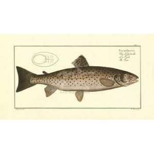  Bloch   Trout Canvas