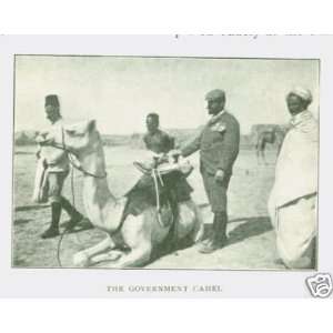  1902 Ibex Hunting on Red Sea Coast Soudan Bisharis 