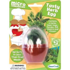  Micro Terrariums 2X3.9X5.2 Tasty Herb Egg (DMT H142 