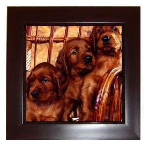 Irish Setter Puppy Dog Framed Tile G0694