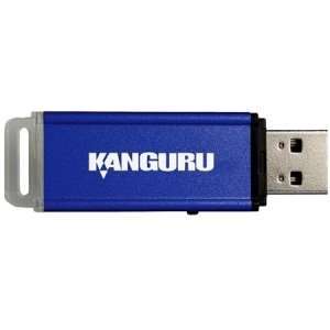   KANGURU FLASH BLU II 2GB USB FLASH DRIVE USB FL. 2 GB   USB   External