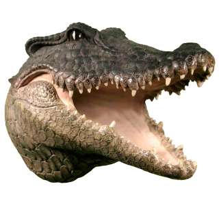 WALL MOUNTED crocodile croc skull alligator GATOR HEAD hanging display 