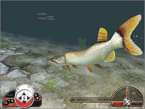 In Fisherman Freshwater Trophies PC CD fishing sim game  