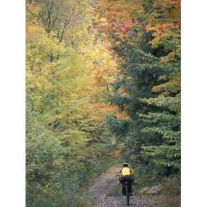 Mountain Biking on Old Logging Road of Rice Hill, Green Mountains 