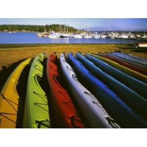  Sea Kayaks, Fisherman Bay, Lopez Island, Washington, USA 