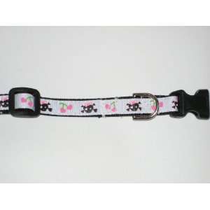   Dog and Cat Collar 1/2 Wide, Adjustable 10 14