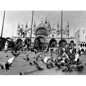  People Feed Pigeons at Saint Marks Square Photographic 