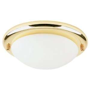  Polished Brass Fluorescent One Light Ceiling Fan Light Kit 16148BL
