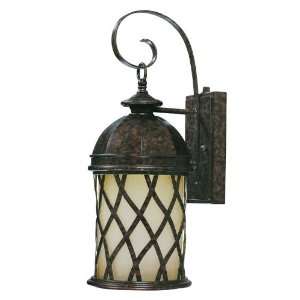 Adair Outdoor Wall Lantern in New Tortoise Shell   Energy Star Size 