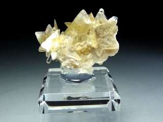 Yellow Star Muscovite Crystal Cluster with Gem Clear Quartz #7  