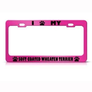  Soft Coated Wheaten Terrier Dog Metal license plate frame 