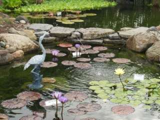 Heron/Crane Spitter/Spouter fountain/pond/water garden  
