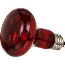 Zoo Med Nocturnal Infra red Night Heat Lamp Bulb RS 75 097612330755 