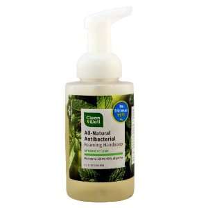 Hand Soap, Foaming All Natural Antibacteria, Spearmint Lime, 9.5 oz 