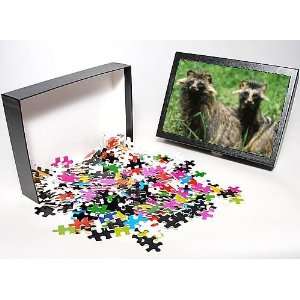   two sitting, facing camera from Ardea Wildlife Pets Toys & Games